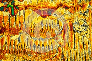 Potassium ferricyanide under the microscope and in polarized light.