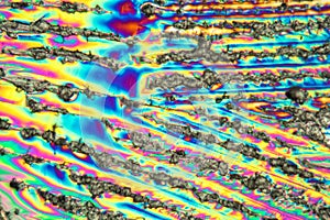 Crystals of potassium nitrate under the microscope
