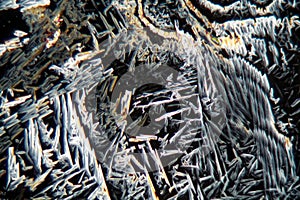 Crystals of potassium nitrate under the microscope