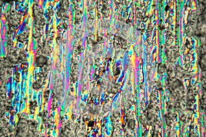 Crystals of potassium nitrate under the microscope