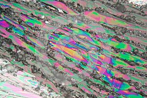 Crystals of potassium nitrate under the microscope