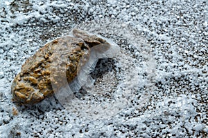 Crystals of self-precipitating common salt (sodium chloride) crystallized at the bottom