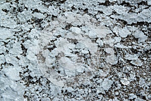 Crystals of self-precipitating common salt (sodium chloride) crystallized at the bottom