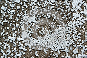 Crystals of self-precipitating common salt (sodium chloride) crystallized at the bottom