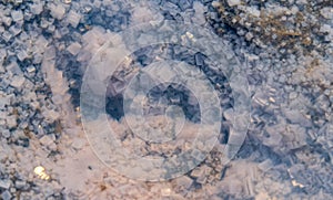 Crystals of self-precipitating table salt on the shore of a drying salt lake in eastern Crimea