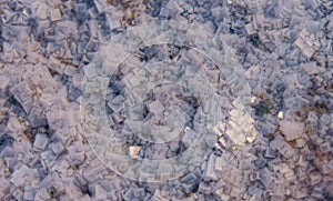 Crystals of self-precipitating table salt on the shore of a drying salt lake in eastern Crimea