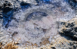 Crystals of self-precipitating table salt on the shore of a drying salt lake in eastern Crimea