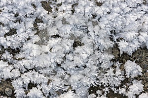 Crystals of snow on the ground