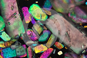 Crystals of sodium borate under the microscope