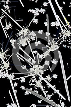 Crystals under polarized light