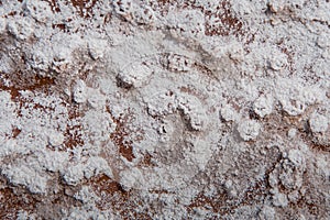 Crystals of White Deposit on Red Desert Rocks