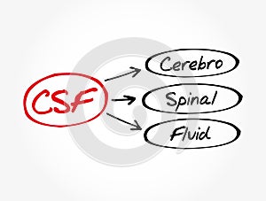 CSF - cerebrospinal fluid acronym