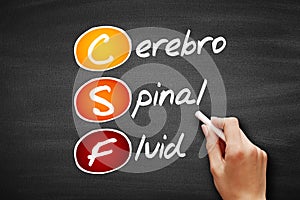 CSF - cerebrospinal fluid acronym, concept on blackboard photo
