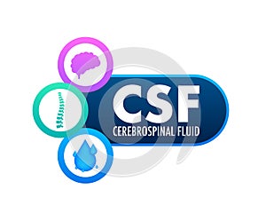 CSF - cerebrospinal fluid. Medical concept. Vector stock illustration.