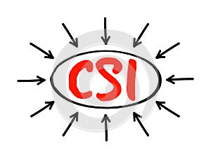 CSI Continual Service Improvement - method to identify and execute opportunities to make IT processes and services better, acronym