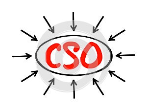 CSO Chief Strategy Officer - executive has primary responsibility for strategy formulation and management, including developing