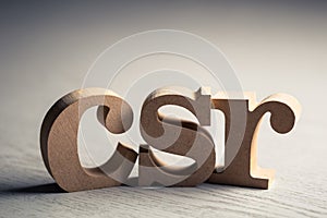 CSR Abbreviation Wood Letters