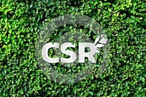 CSR on a green background ,Concept of love the world