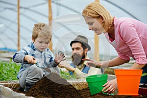 Csr with people. csr concept. family in greenhouse do csr activity. people planting together. csr activity with people.