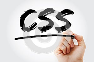 CSS - Cascading Style Sheets acronym