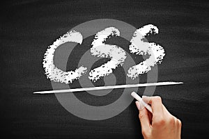CSS Cascading Style Sheets - language used for describing the presentation of a document written in a markup language, acronym