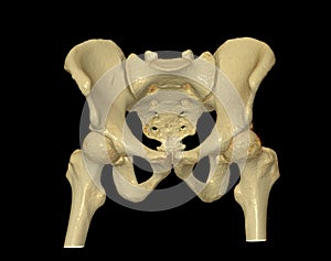 CT scan of Pelvic bone and hip joint 3D rendering for diagnosis fracture of Pelvic bone and hip joint isolated on black background