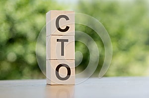 CTO Chief Technology Officer text written on wooden blocks over blurred green background