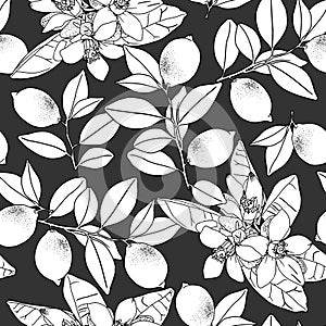 CTropical seamless pattern with citrus oranges and lemons, leaves and flowers. Fruit repeated background.