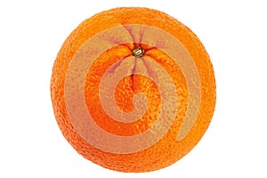 Ctrus fruit orange closeup