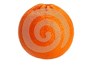 Ctrus fruit orange closeup