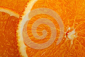 Ctrus fruit orange on white