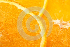 Ctrus fruit orange on white