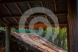 Cu Chi tunnel, historic famous place in Vietnam war