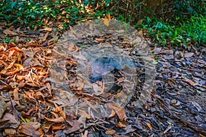 Cu Chi tunnel, historic famous place in Vietnam war