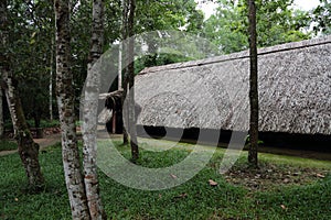 Cu Chi tunnel in Ho Chi Minh