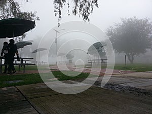 Cuaad mist 04/09/2017