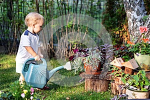 Cuate adorable caucasian blond little toddler boy in watering flowerbed flower pot with green plastic can outdoors. Fun baby boy