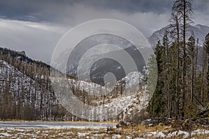 Cub Lake - Rocky Mountain National Park photo