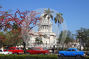 Cuba