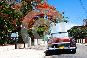Cuba american classic cars pareked in havana