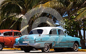 Cuba american classic cars under palms