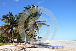 Cuba beach