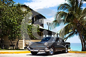 Cuba black american classic car under Palms