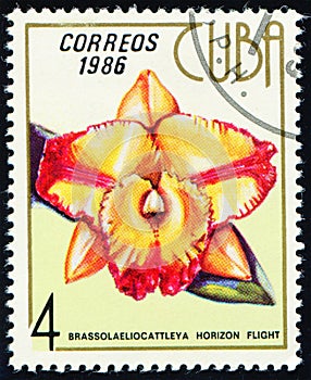 CUBA - CIRCA 1986: stamp 4 Cuban centavo printed by Republic of Cuba, shows flowering plant Brassolaeliocattleya horizon flight