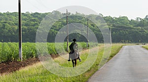Cuba countryside province sugar cane field with Gaucho photo