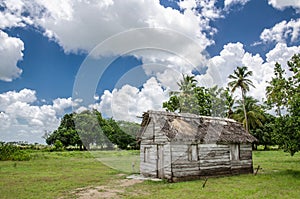 Cuba Farm