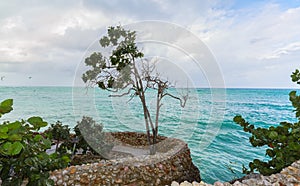 cuba, Guardalavaca beach, beautiful ocean view on a cloudy day