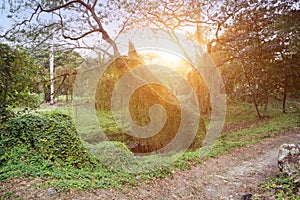 Cuba. Havana. City park landscape in sunny day