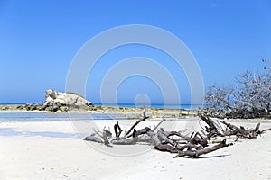 .Cuba .The island of freedom .Cayo Coco.