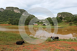 Cuba, Lake in Vinales